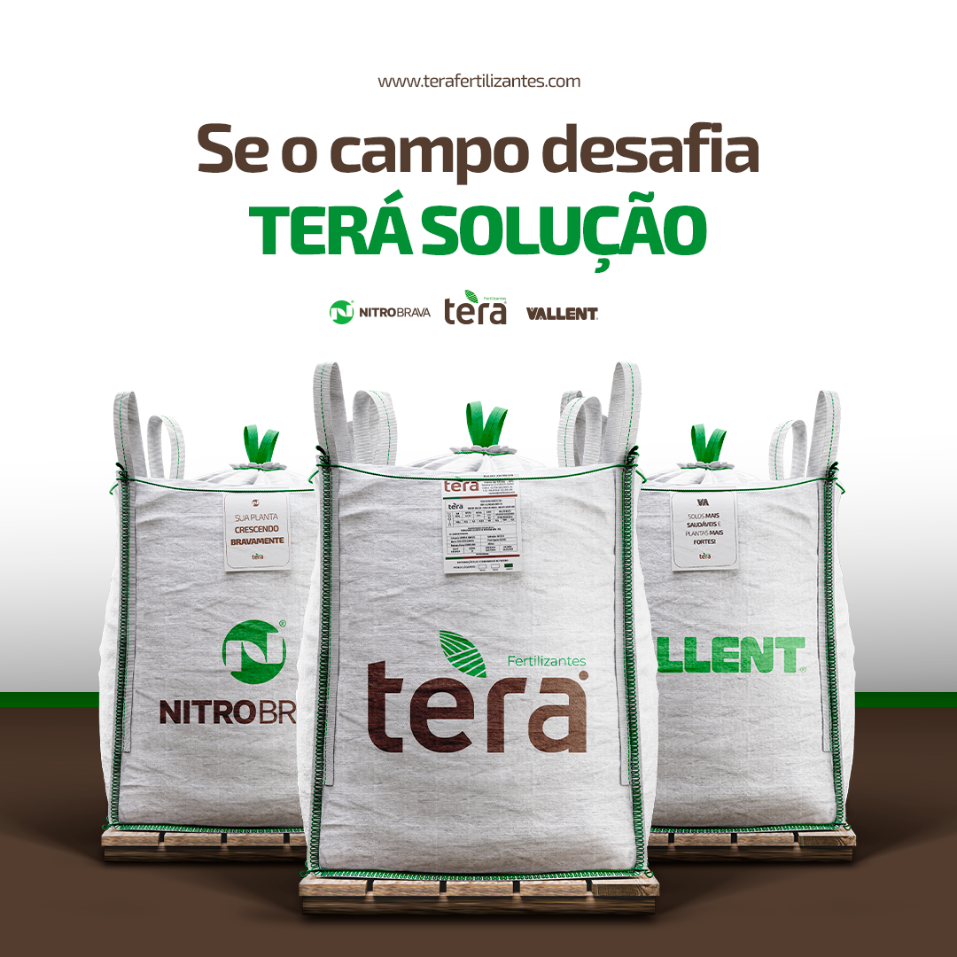 terá-solução (1)